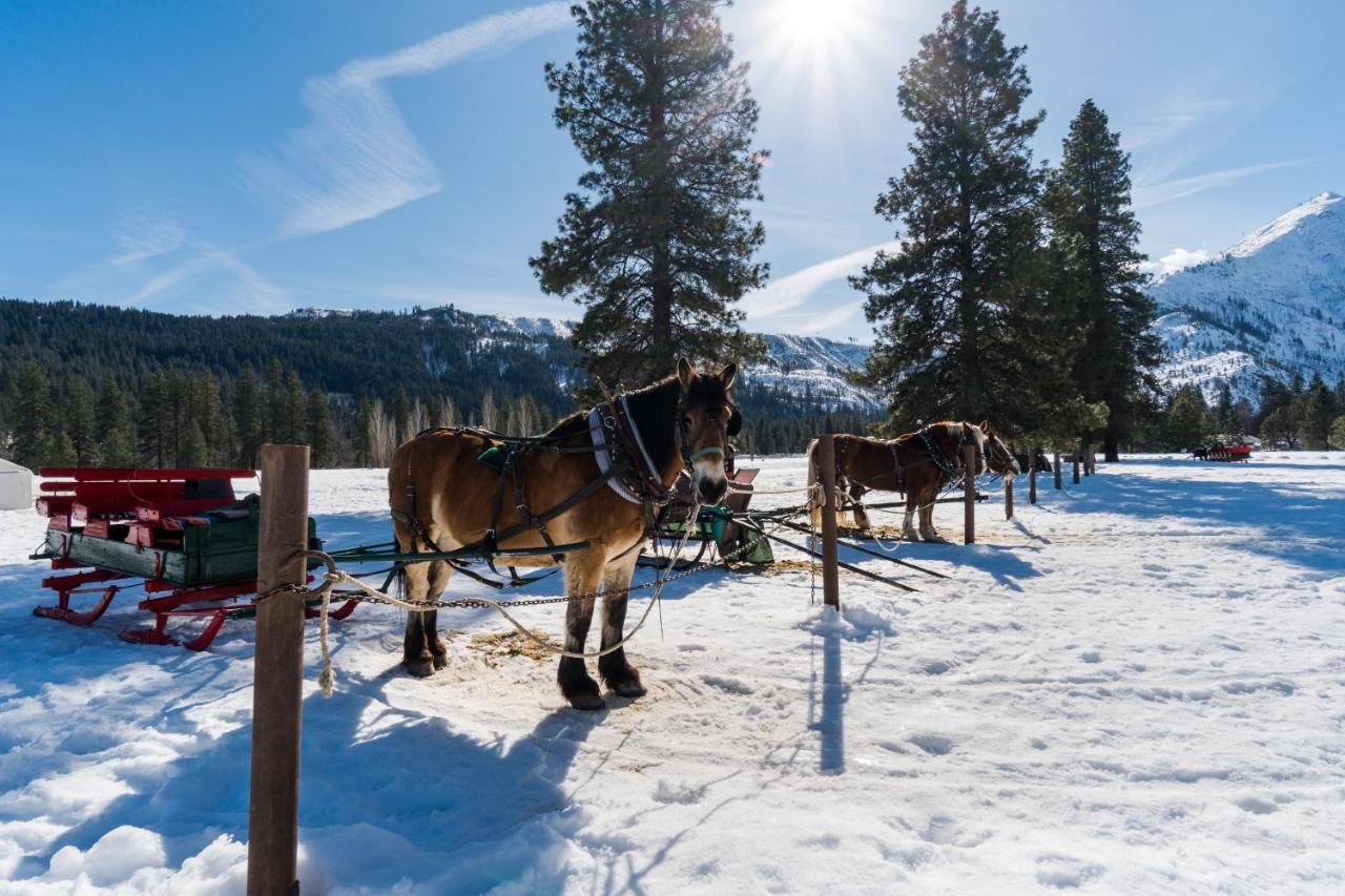 Icicle Village Resort 508: Alpine Aurora ليفينورث المظهر الخارجي الصورة